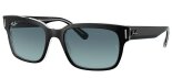RAY BAN 2190 1294/3M