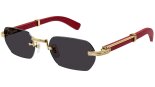 CARTIER CT0362S 004