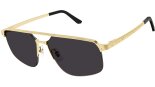 CARTIER CT0385S 001