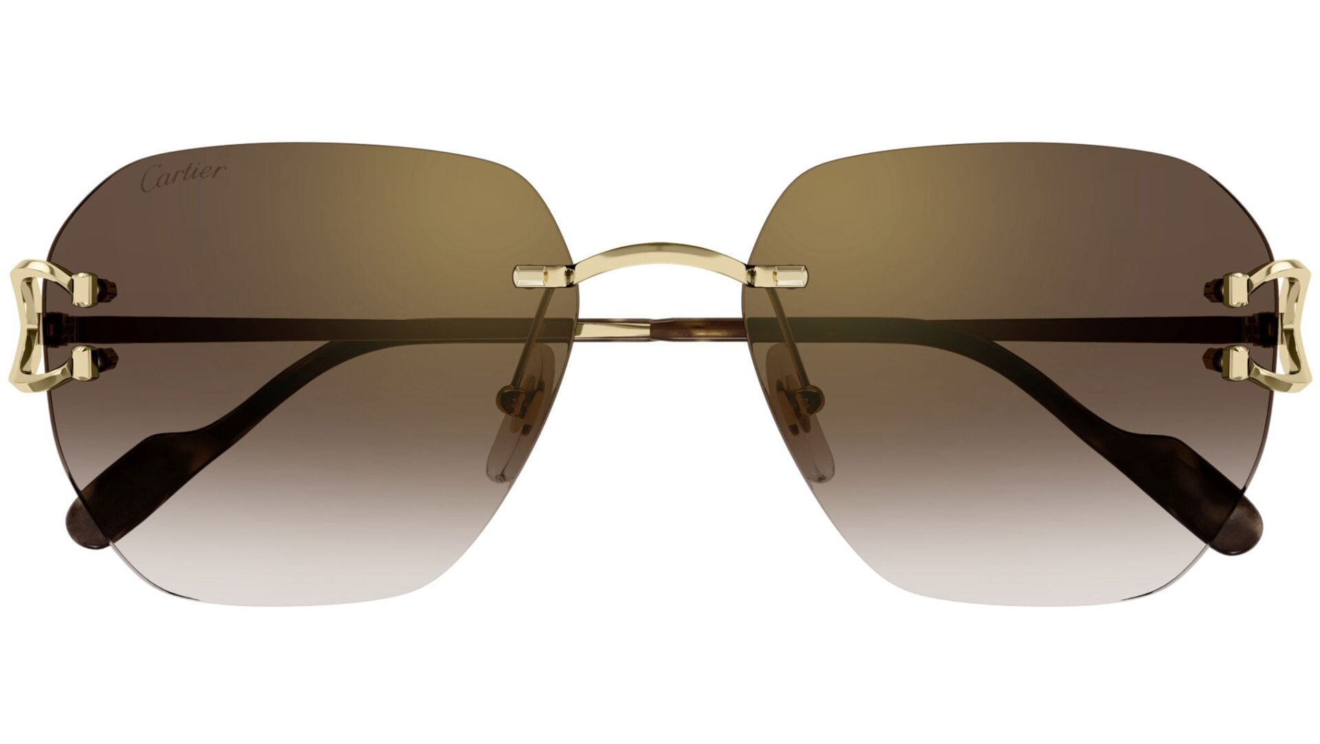CARTIER CT0394S 002