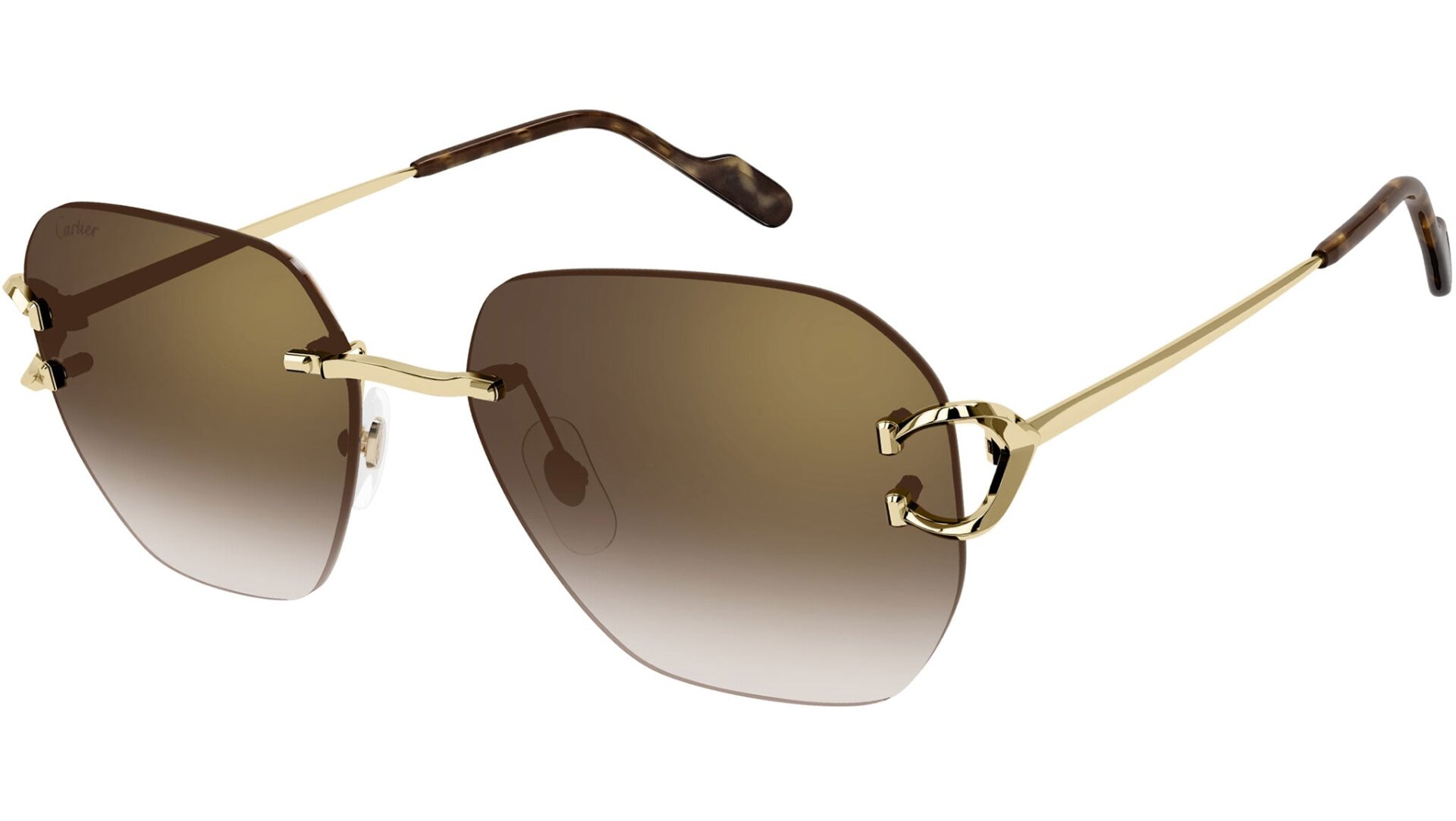 CARTIER CT0394S 002