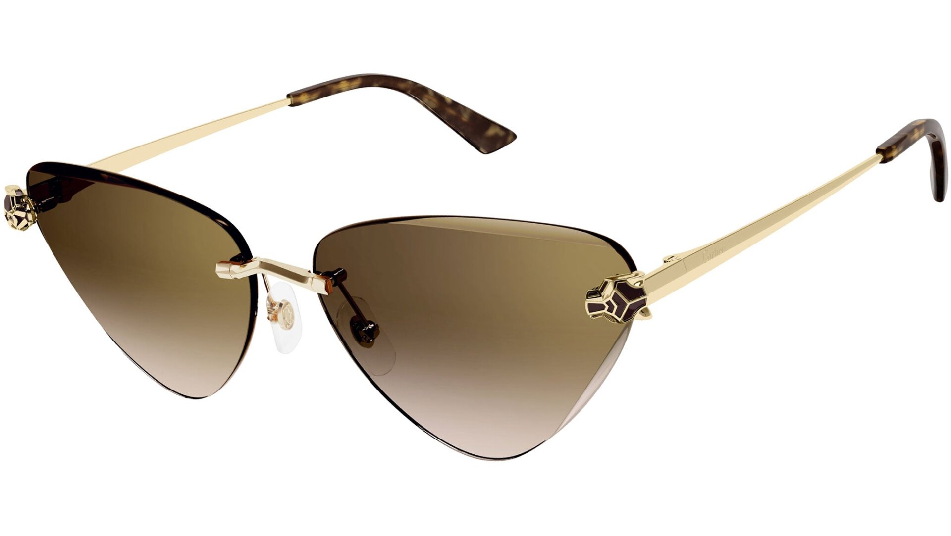 CARTIER CT0399S 002