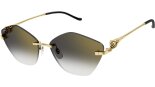 CARTIER CT0429S 001