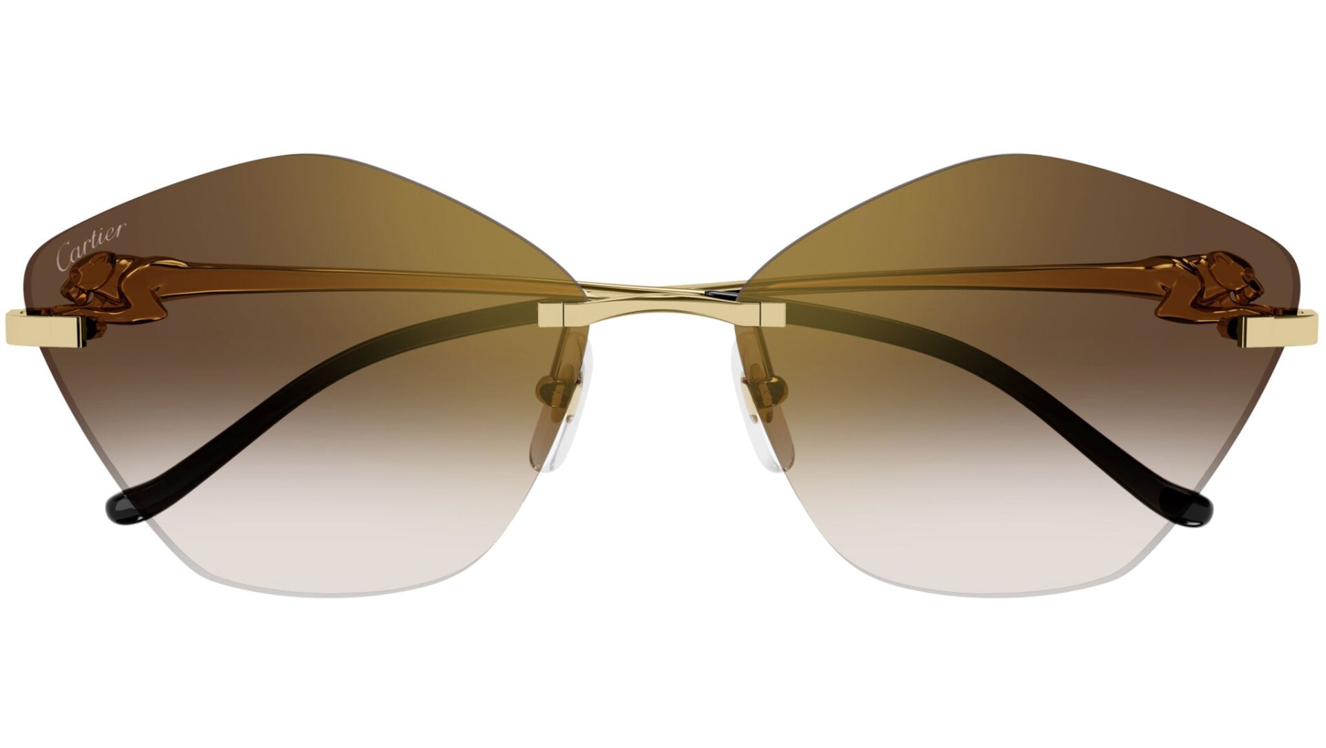 CARTIER CT0429S 002