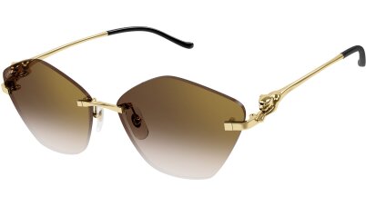 CARTIER CT0429S 002