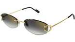 CARTIER CT0467S 001