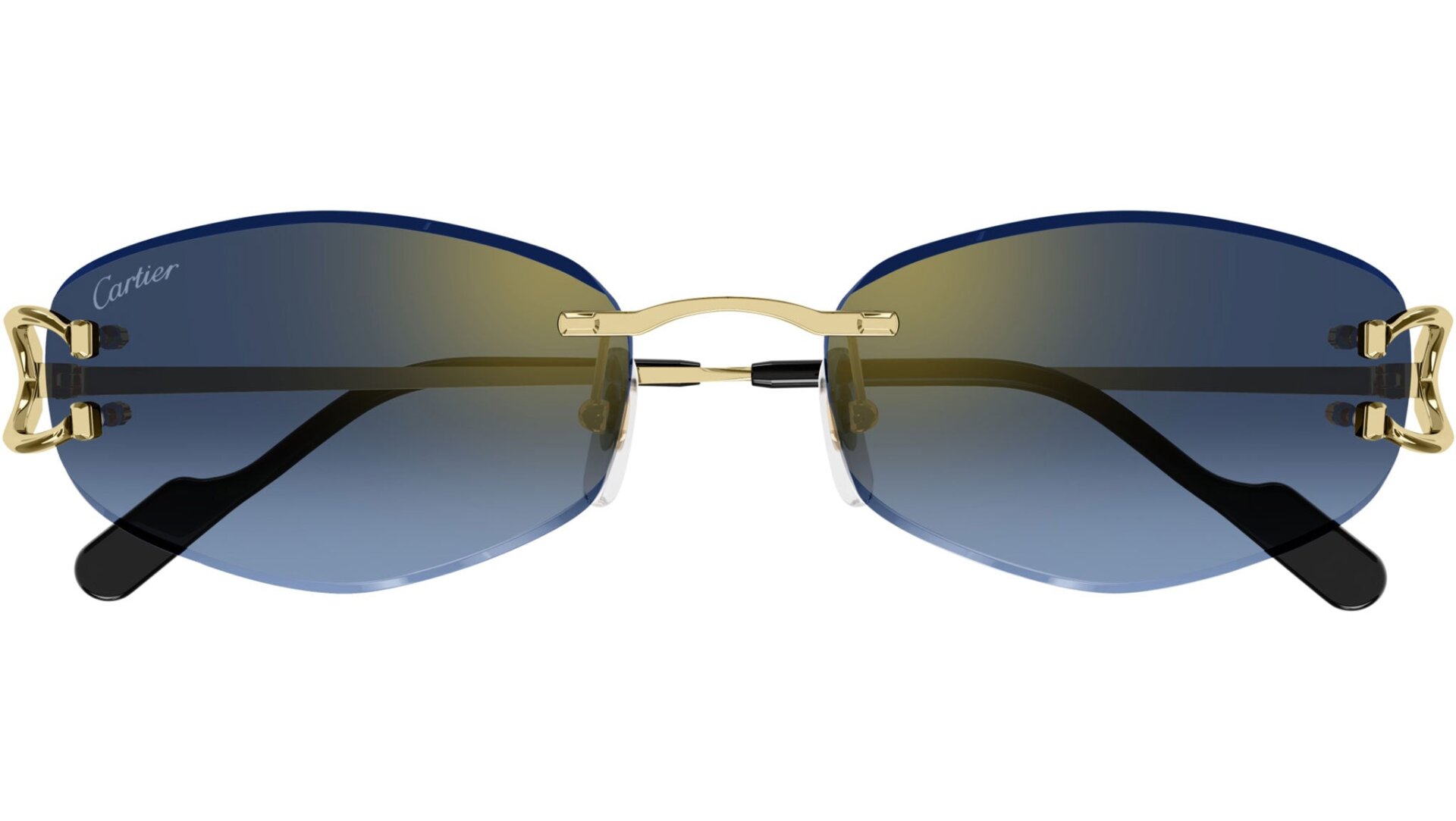 CARTIER CT0467S 002