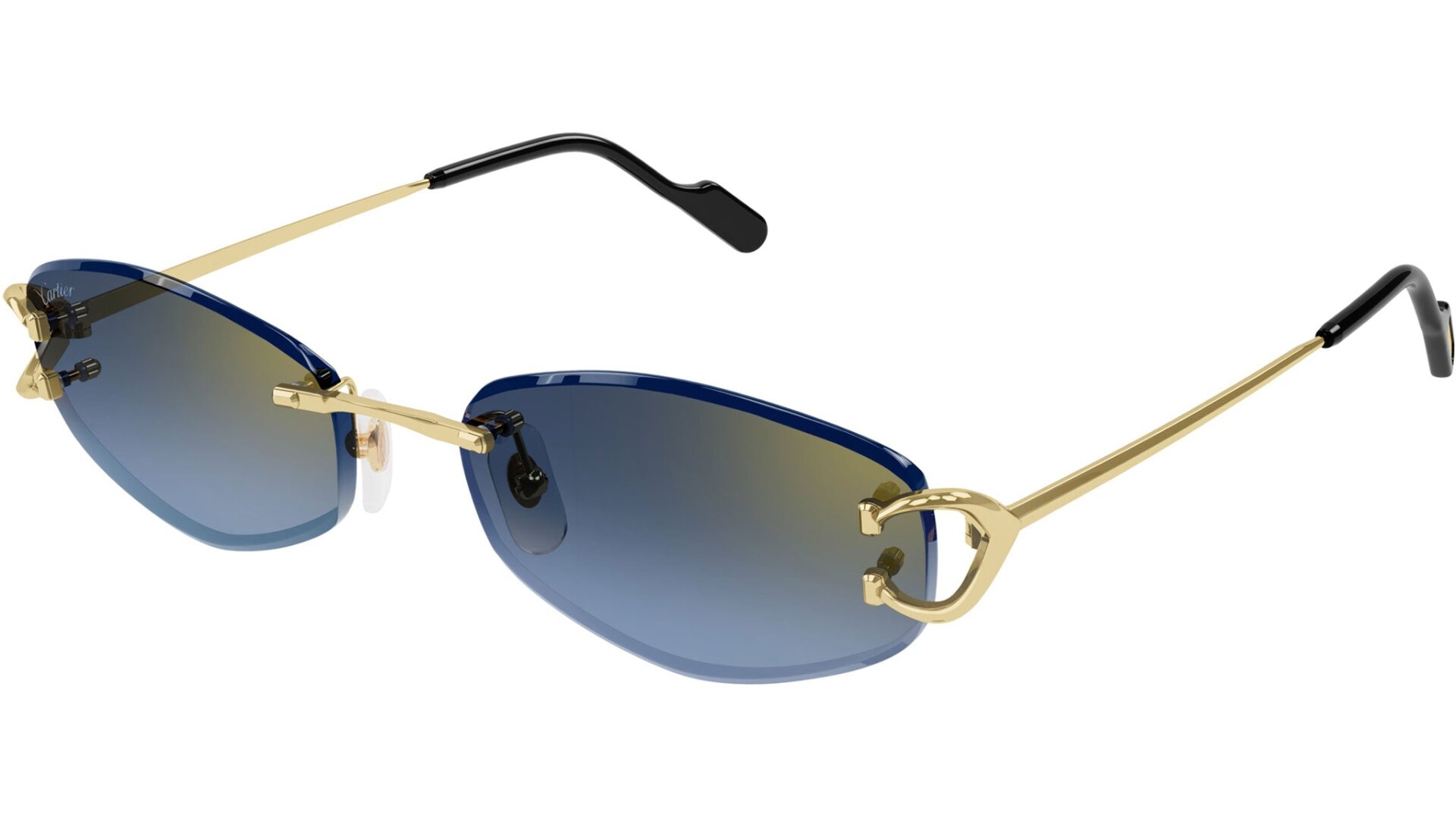 CARTIER CT0467S 002
