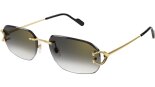 CARTIER CT0468S 001