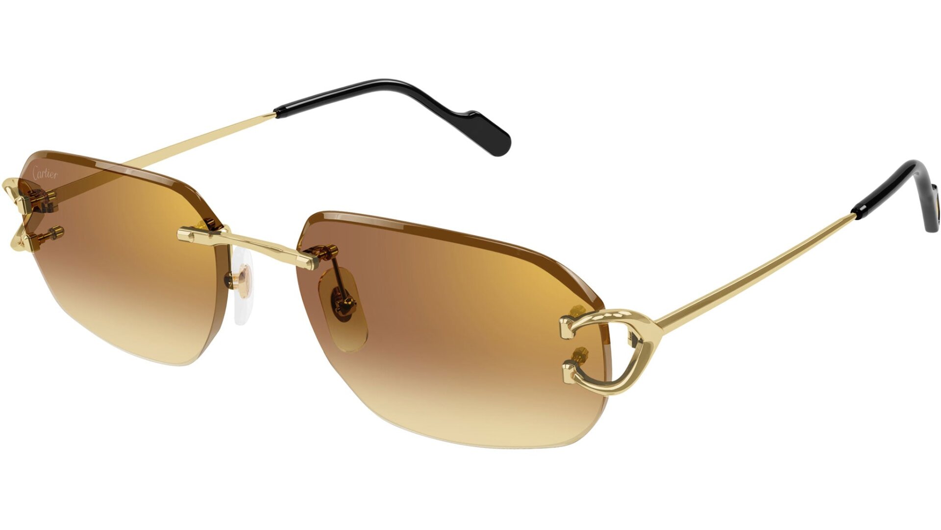 CARTIER CT0468S 004