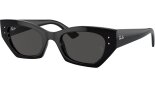 RAY BAN 0RB4430 667787