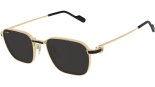 CARTIER CT0497S 006