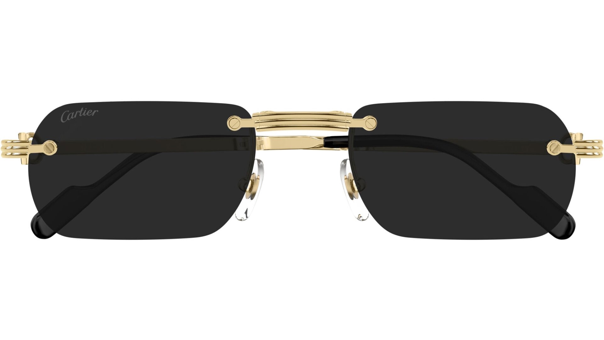 CARTIER CT0499S 001