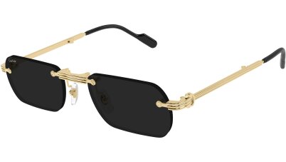 CARTIER CT0499S 001
