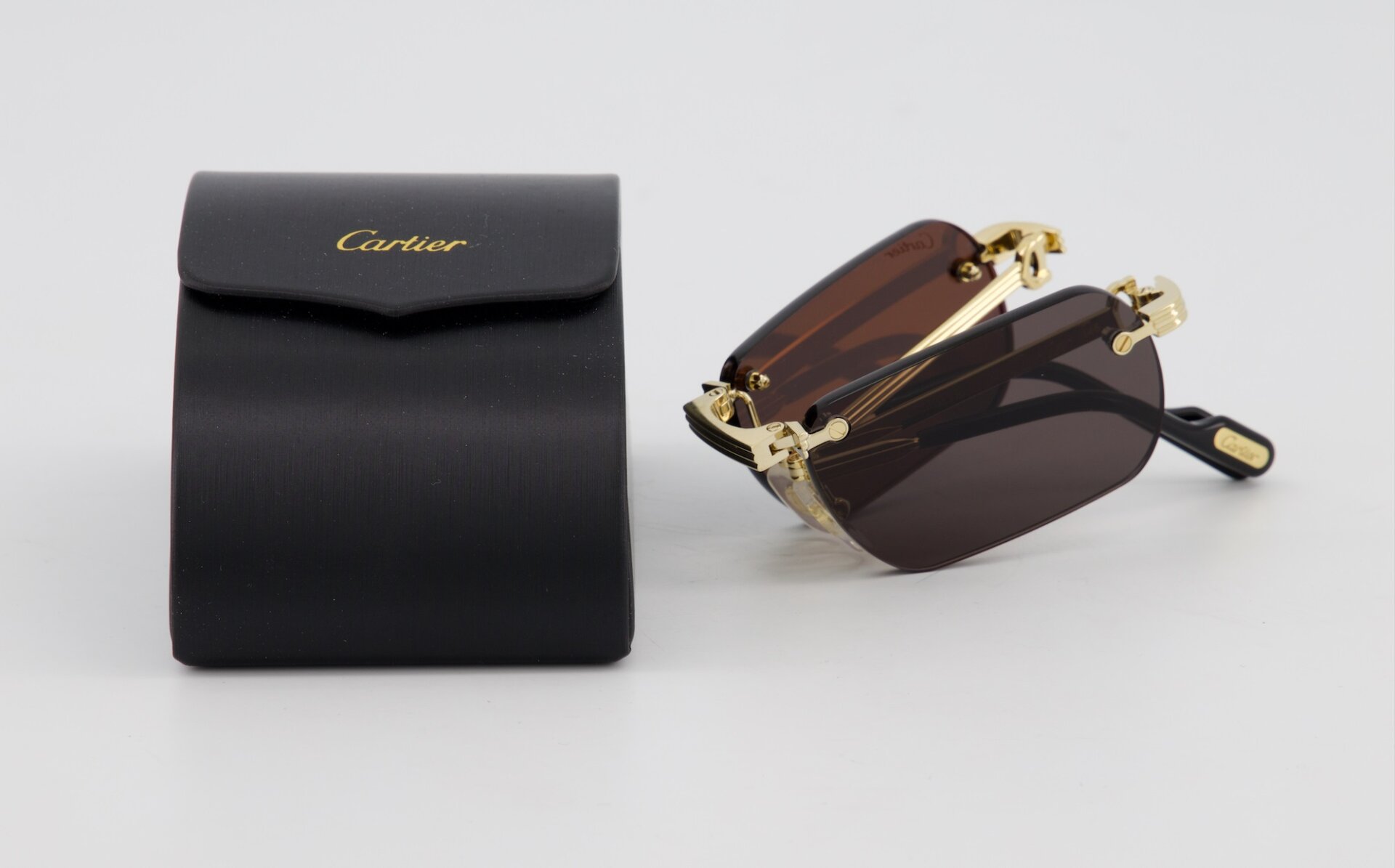 CARTIER CT0499S 001