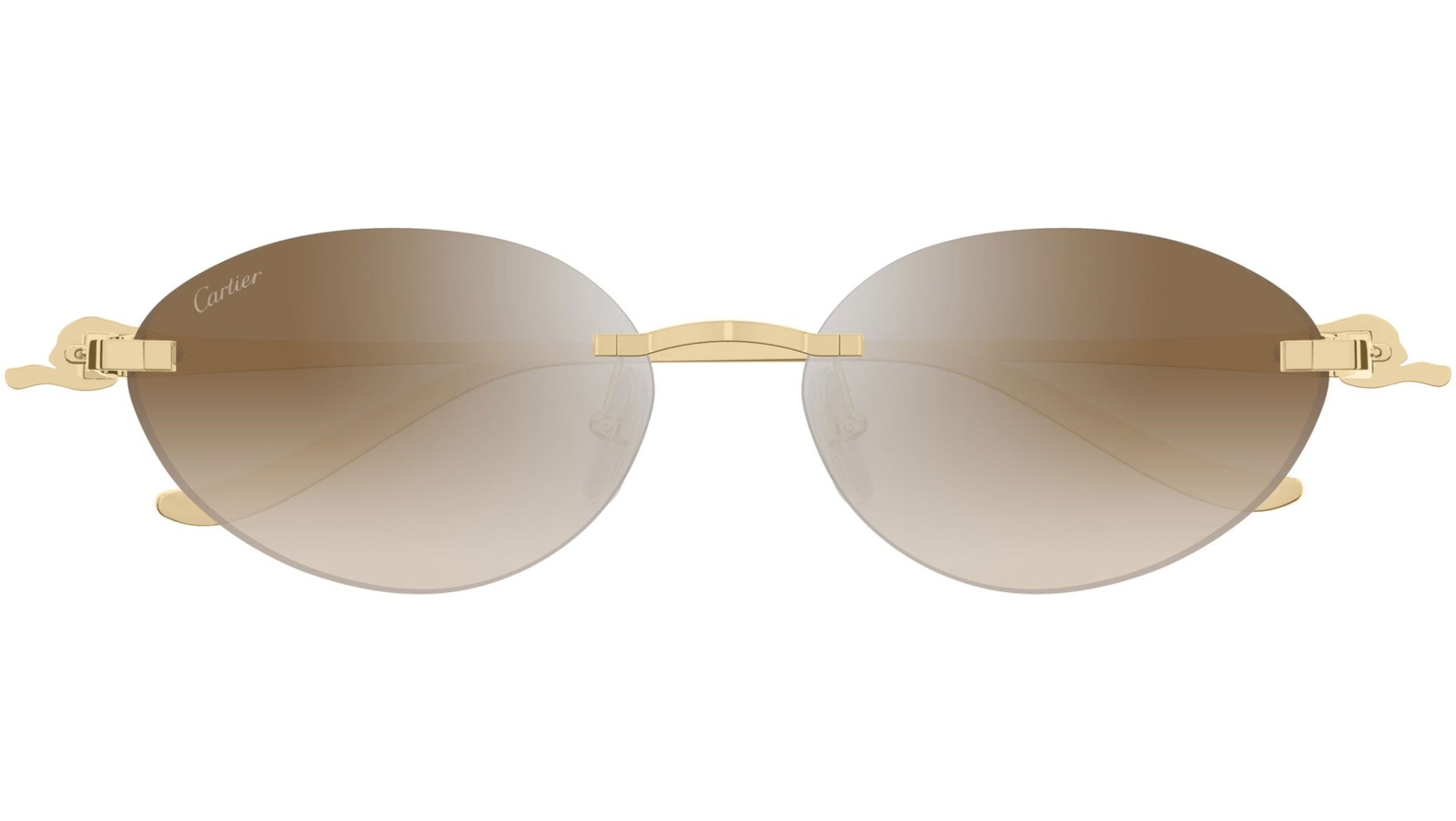 CARTIER CT0504S 003