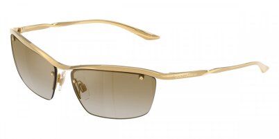 DOLCE&GABBANA 0DG2307 02/6E
