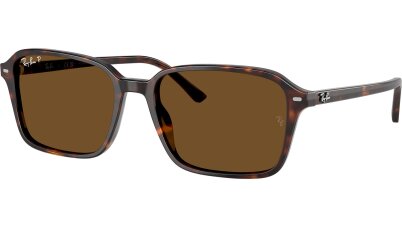 RAY BAN 0RB2231 902/57