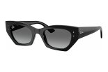 RAY BAN 0RB4430 667711
