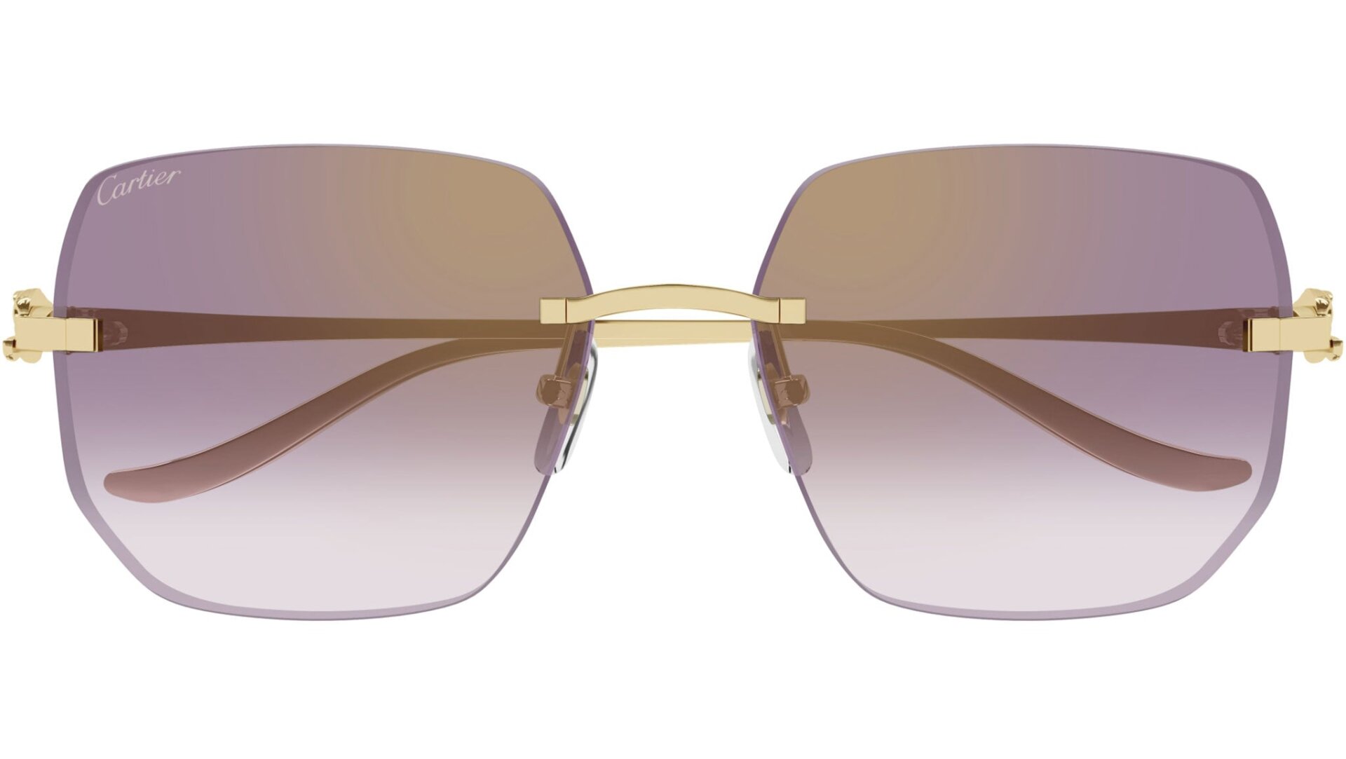 CARTIER CT0549S 004