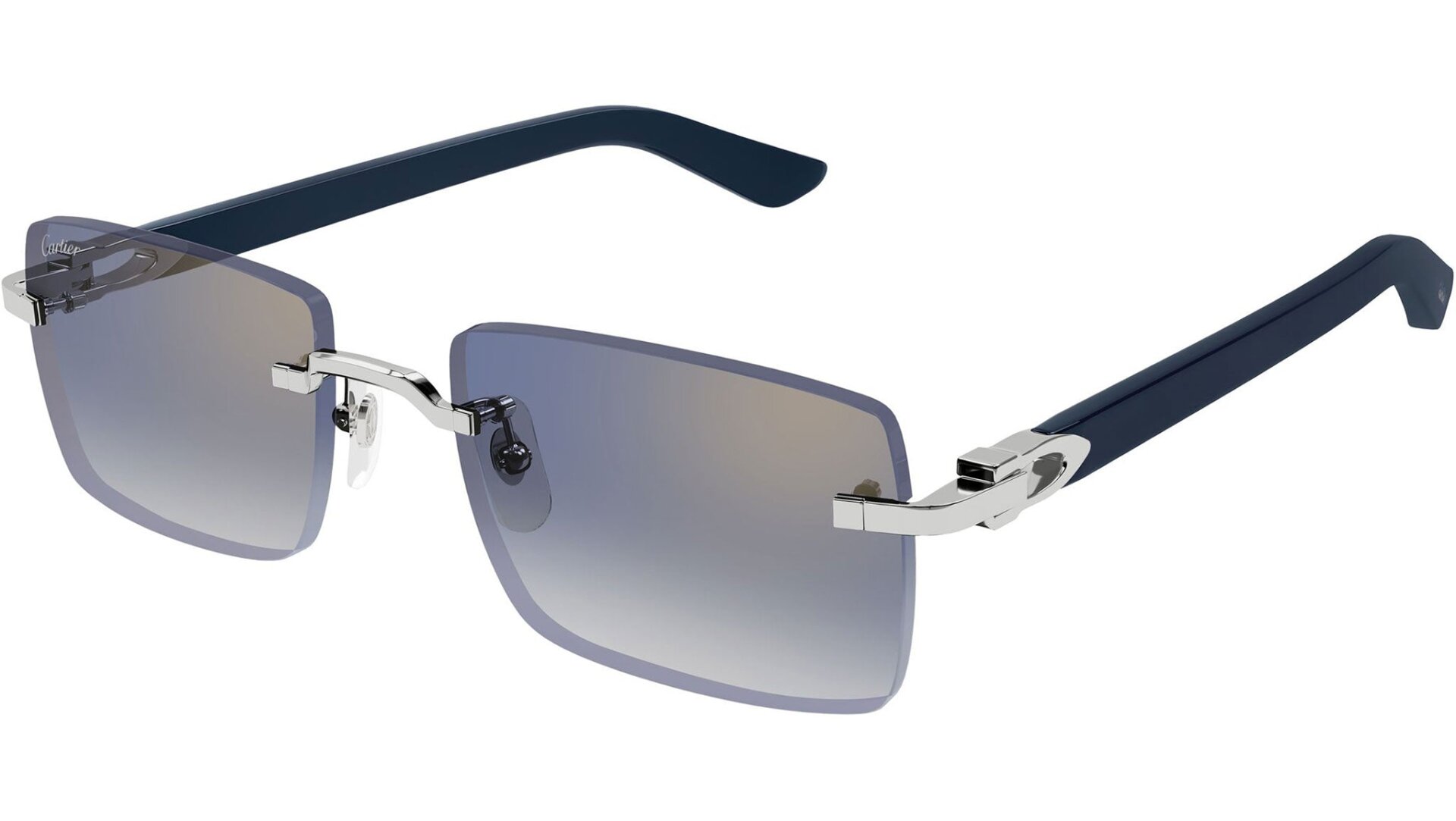 CARTIER CT0579S 008