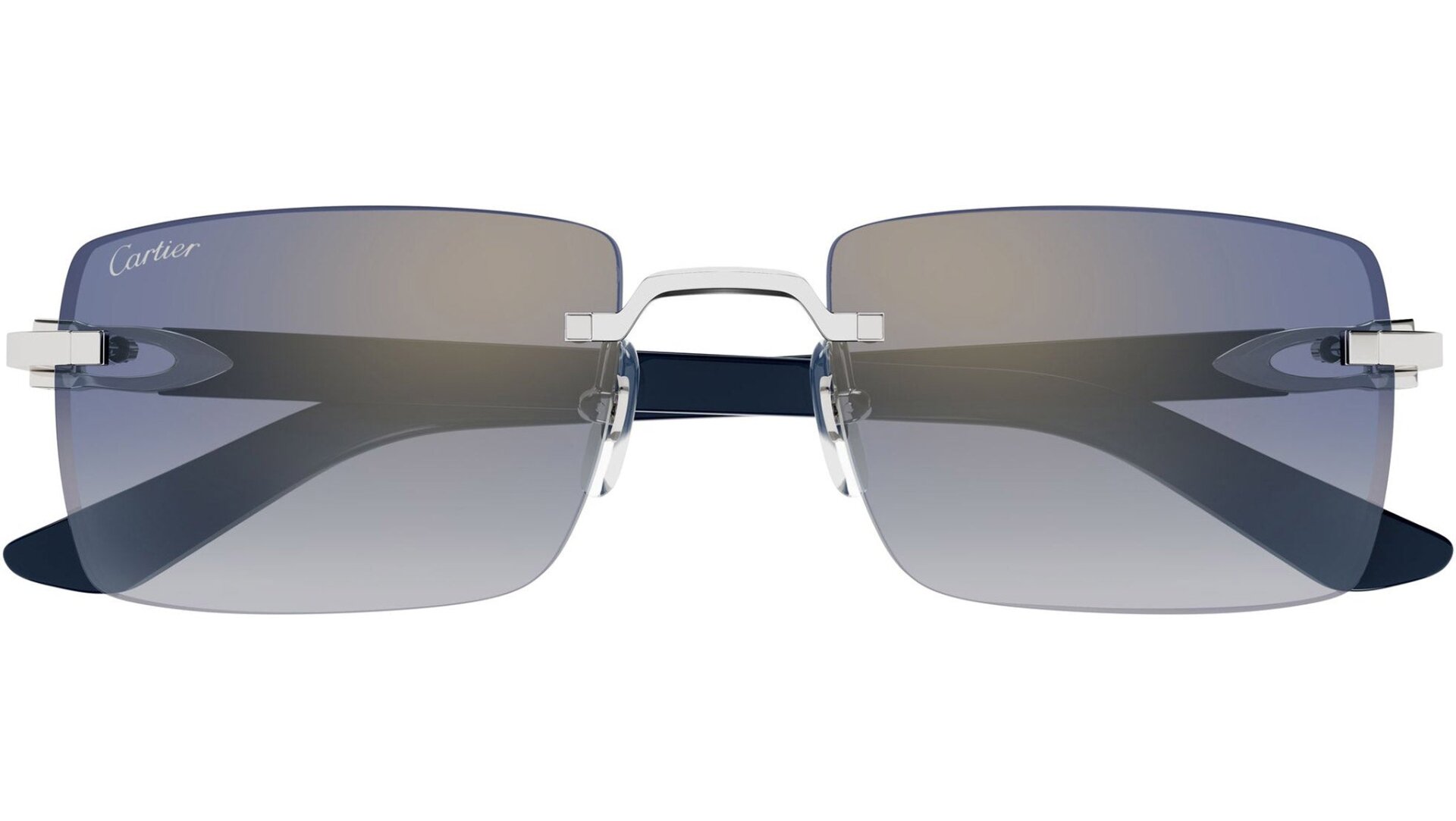CARTIER CT0579S 008