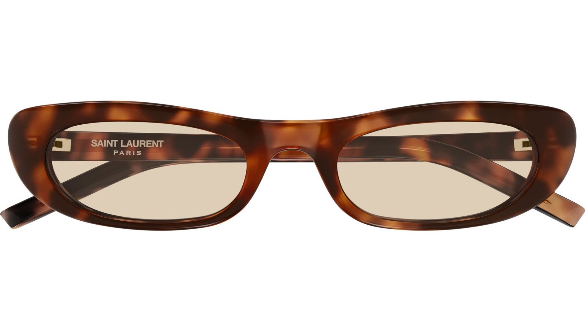 SAINT LAURENT SL 557 SHADE 008