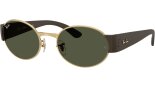 RAY BAN 0RB3770 001/31