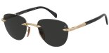 DAVID BECKHAM DB 1224/S RHL/IR