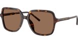 DOLCE&GABBANA 0DG4539 502/73