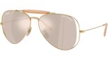 RAY BAN 0RB3029M 001/0V
