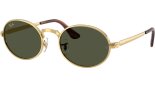 RAY BAN 0RB3931 001/31